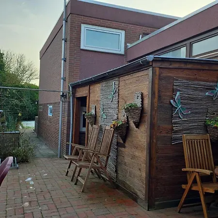 Nordlicht * Schortens