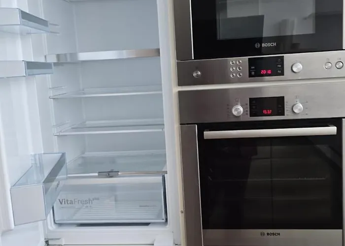 Nordlicht * 绍尔滕斯